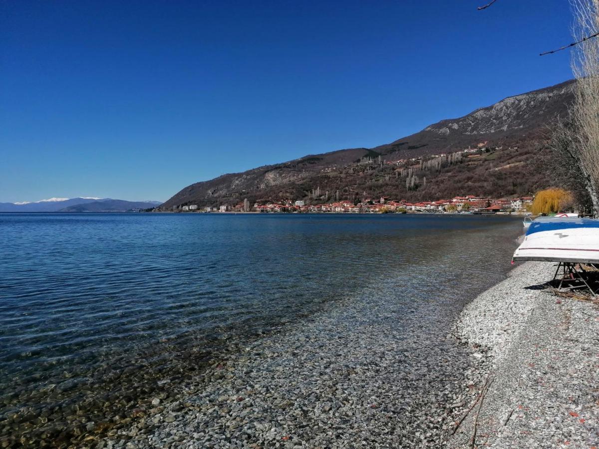Villa Pegasus Pestani Ohrid Exterior photo